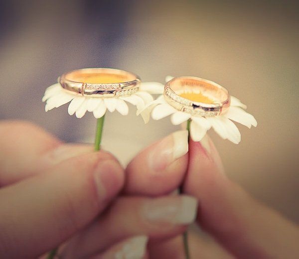 ��� �������� �������� ��� ���������� � �������: �������� ������