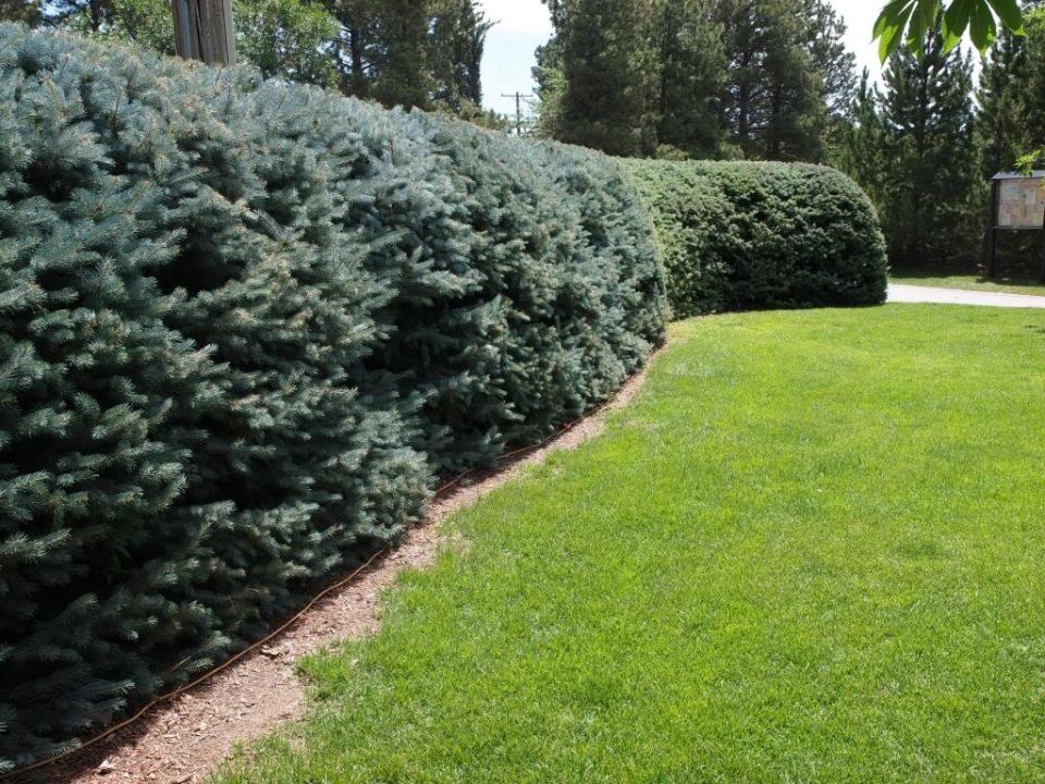 ��� ������� �������� ����� �������� �� ����