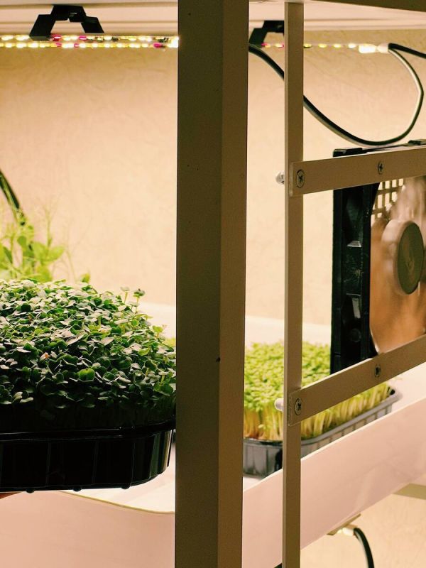 ������ ������ ������ � ������� ����� ������ ������