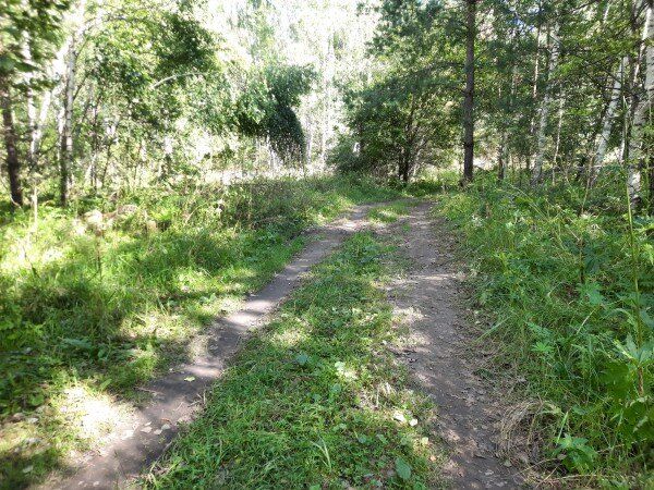 ������ ���������� � ����� �����: ��� ���� ����������������� ����� ��������