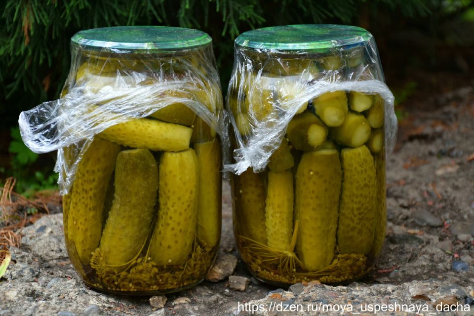 ����� ���������� ���������� �������, ������������ ��������