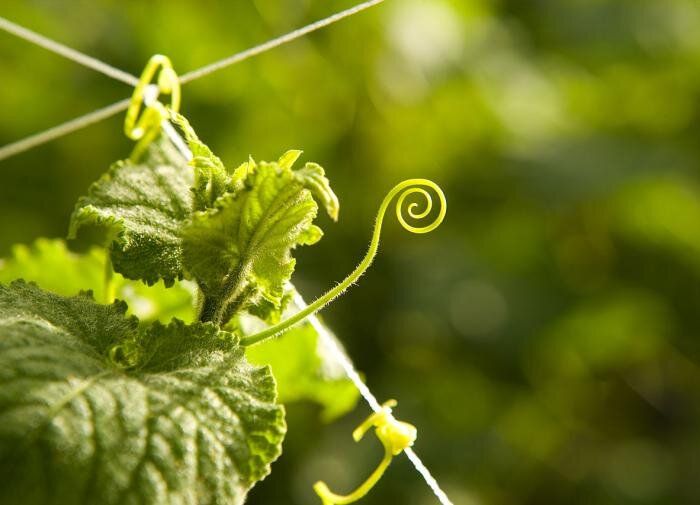 ��� ����� �� ������ ������: ������ ������