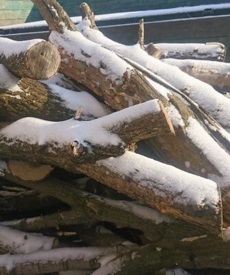 Как выбрать идеальные дрова для печного отопления