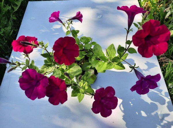 ����� � �������: ���� ���������� ������� ������� � ���������� ����� ��� ������ ����