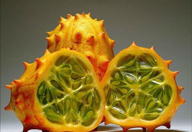 ������: ������������ ����� � ���������� ������