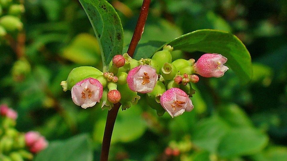 �������������: ��������� ������� ������ ����������� ����