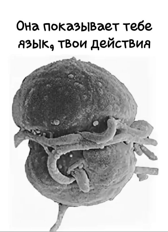 ��������: �������� ��������� � �� ����������� �������