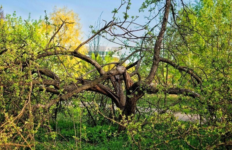 ��� ��������� ��������� �� ��������� � ������������, ����� ��� ����