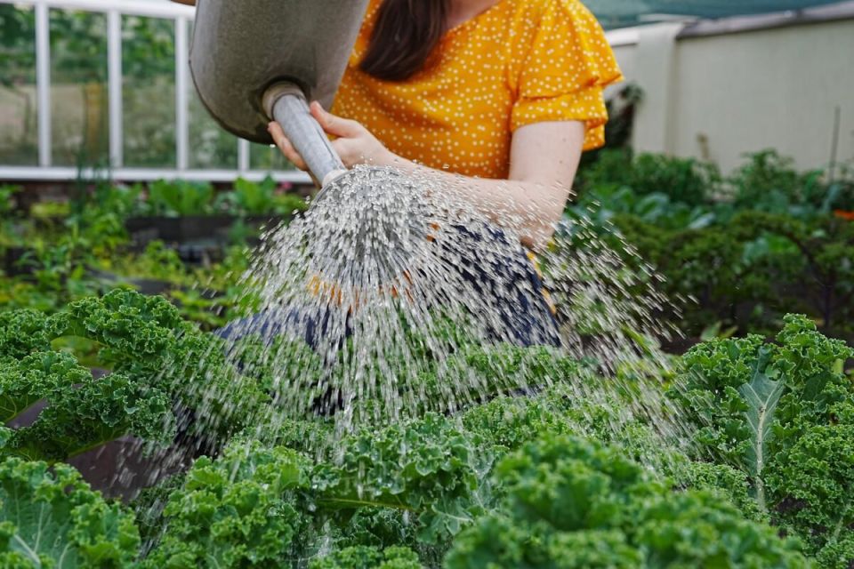 ��� ��������� ���������� �������� � �������