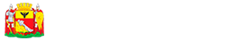 Лента новостей Воронежа